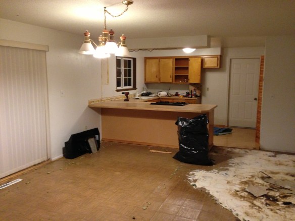Kitchen mid-demo